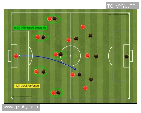 杭州乒乓球队灵活性表现的数据分析与战术优化研究